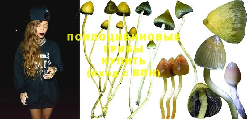 darknet наркотические препараты  наркошоп  Людиново  Галлюциногенные грибы MAGIC MUSHROOMS 